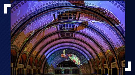 stl aquarium|St. Louis Aquarium at Union Station .
